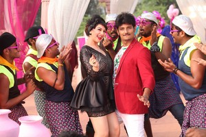 Pokiri Raja Movie Photos